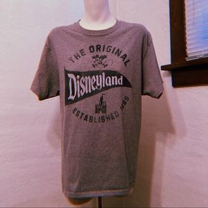 Disneyland Disney Park Grey Short Sleeve T-shirt